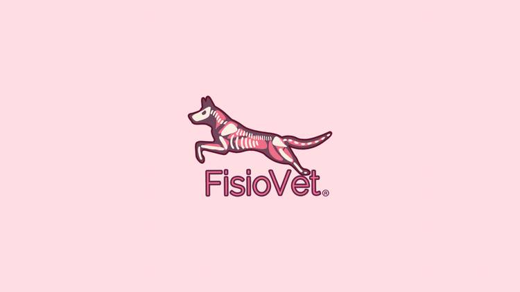 Fisiovet - Médica Veterinaria - Fisiatría y Rehabilitación Veterinaria - Fisioterapia