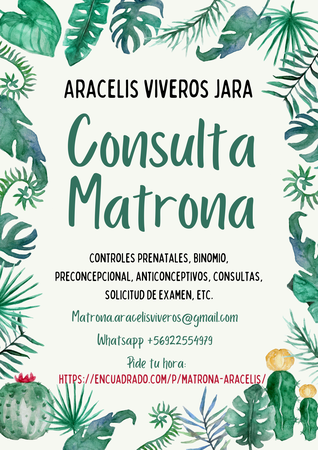 Aracelis Viveros Jara