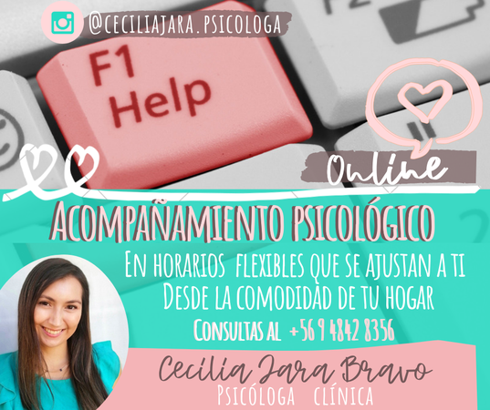 Cecilia Jara Bravo