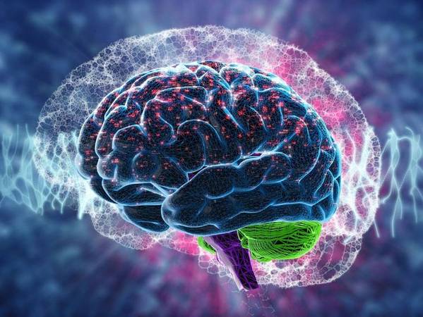Mayerlin Cárdenas Jara. - ●Psicologa.
•Diplomada Herramientas Clinicas Atencion Integral Adolescentes.
•Diplomada Violencia de Género, •Diplomada en Neurociencias para la Educación