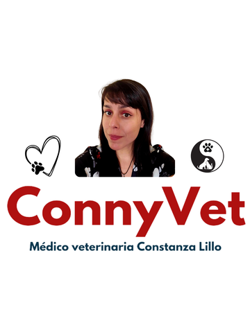ConnyVet - Médico veterinaria internista