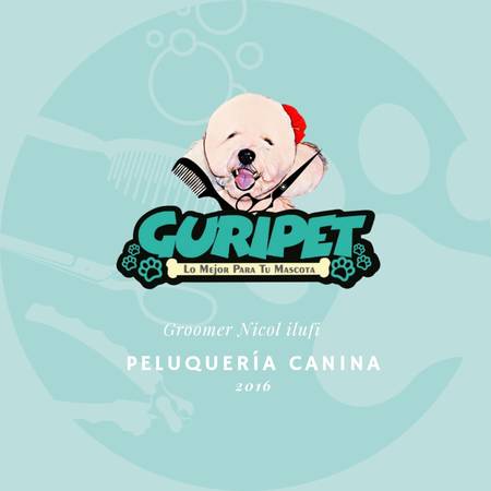Guripet - Peluquería canina