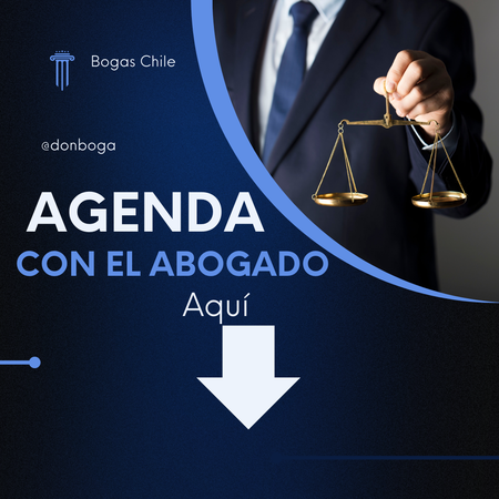 Bogas Chile - Abogados - Abogado