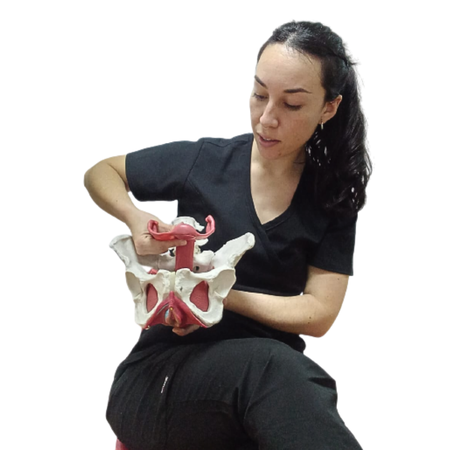 Dra. Bárbara Retes - Matrona