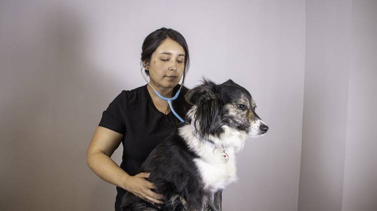 Dra. Karen González - Médica Veterinaria