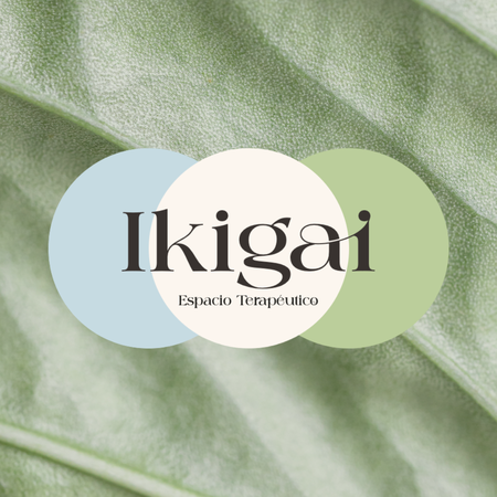 Servicios Espacio IKIGAI; Peñaflor. - Área de la rehabilitación