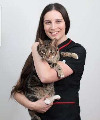 Consuelo Serrano Gonzalez - Médico Veterinaria -Medicina Felina
