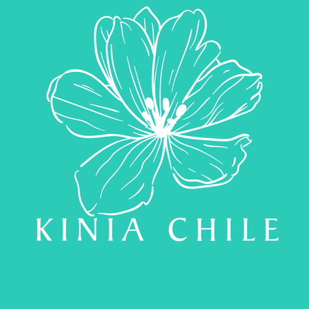 Nicole Vasquez - Kinesióloga