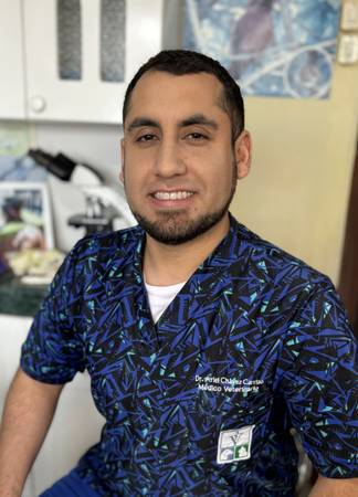 Dr. Ariel Chávez Carrizo - Médico Veterino