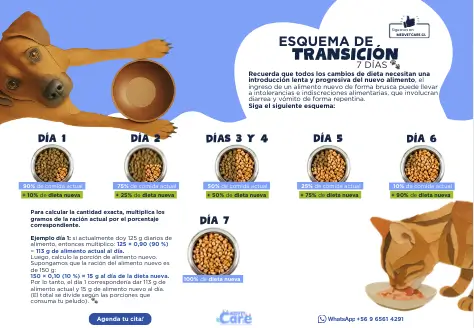 Esquema de Transición - 10 días (Croquetas a Croquetas)