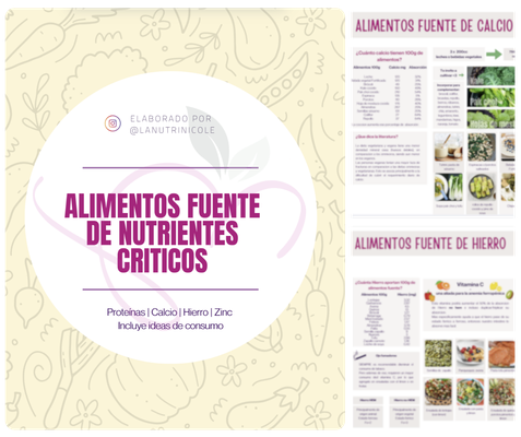 Alimentos fuente de nutrientes críticos