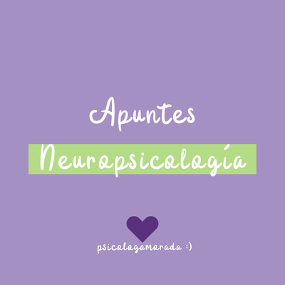 Apuntes Neuropsicología 🧠