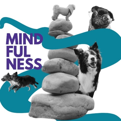 Cultiva tu atención en el momento presente (con perritos 🐶🐾)