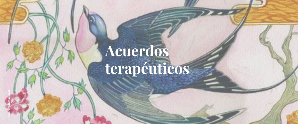 Acuerdos terapéuticos - Léelos antes de agendar una sesión conmigo