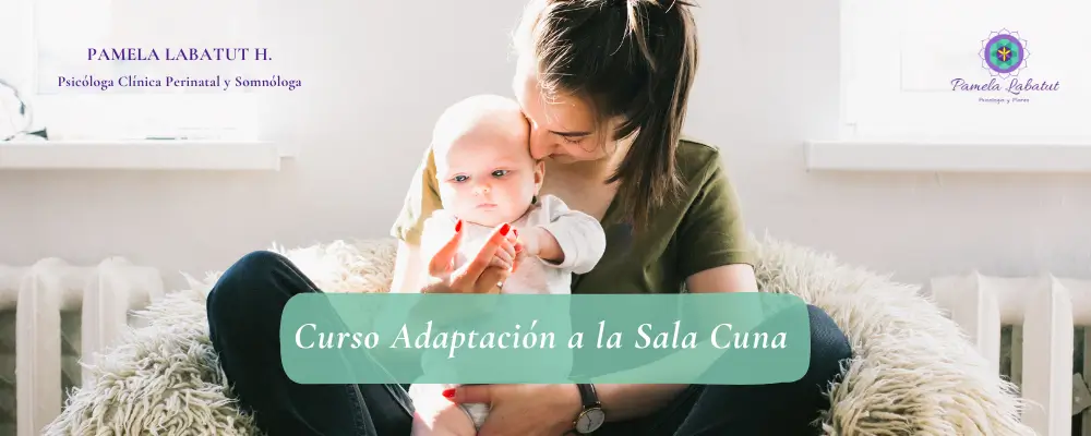 Curso Adaptación a la Sala Cuna