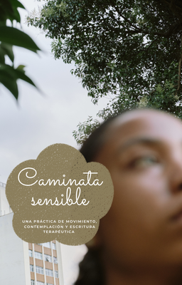 Guia de Caminata Sensible