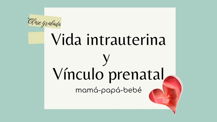 Clase grabada: Vida Intrauterina y Vínculo Prenatal