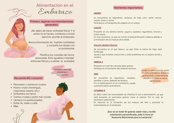 Alimentación en el Embarazo: Un acercamiento a la Asesoría Nutricional para la Lactancia