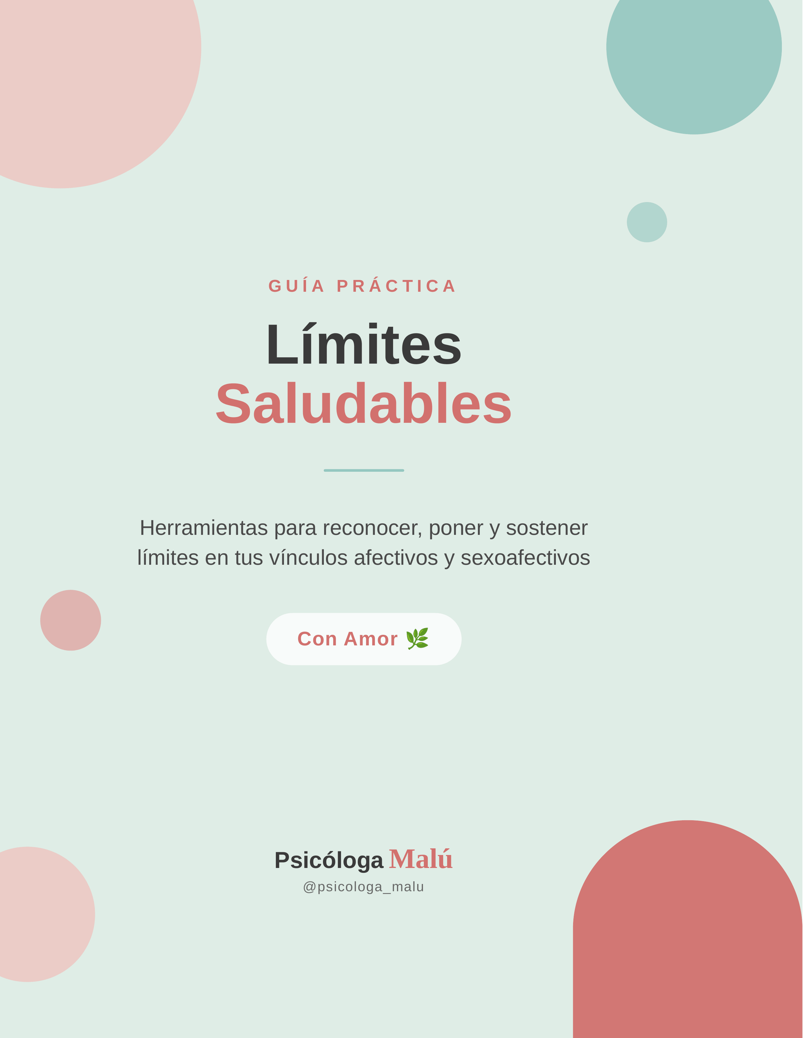 Limites saludables - Ebook