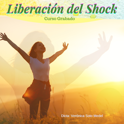 CURSO LIBERACIÓN DEL SHOCK DIFERIDO