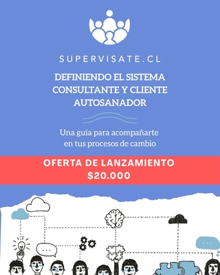 Booklet Definiendo el sistema consultante y cliente autosanador
