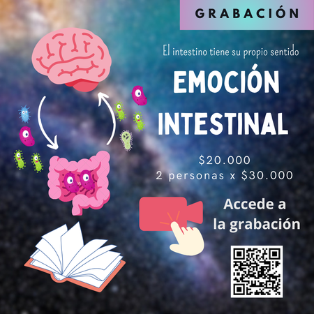 Emoción Intestinal - Grabación