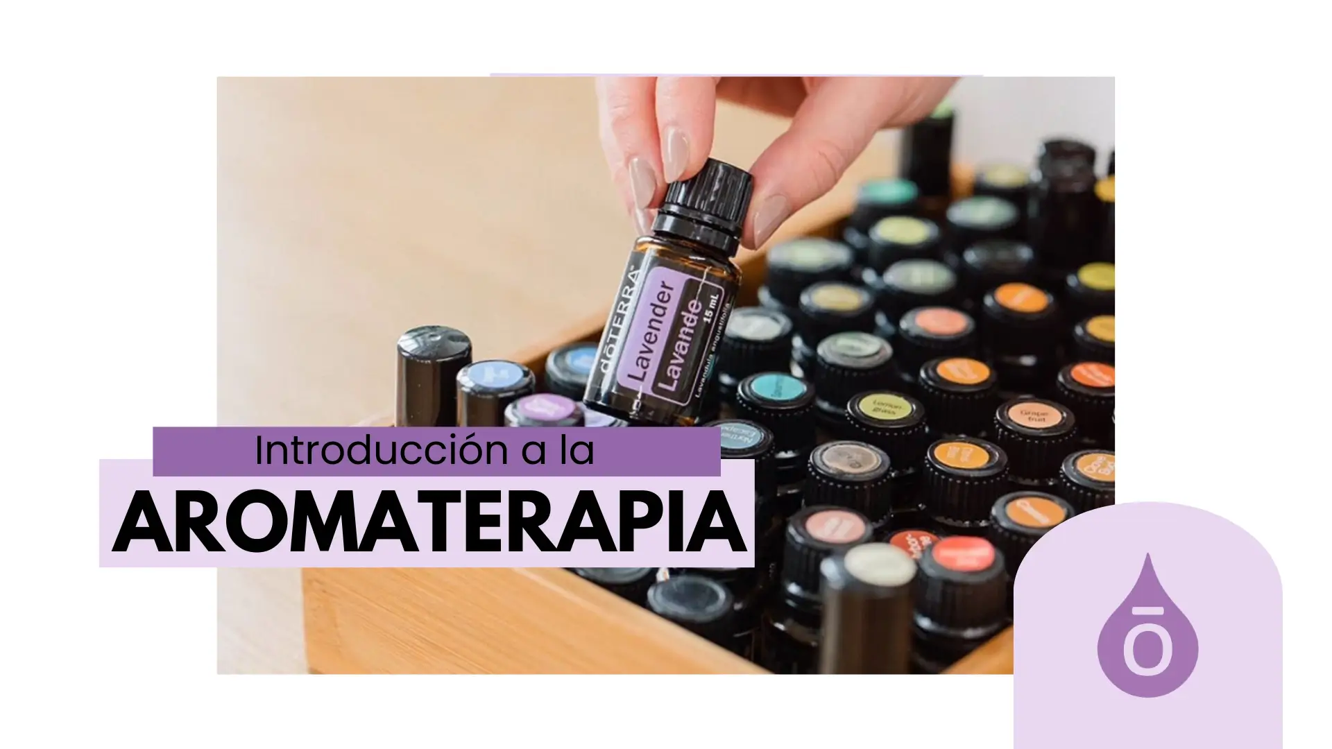 Introducción a la Aromaterapia🍃💧