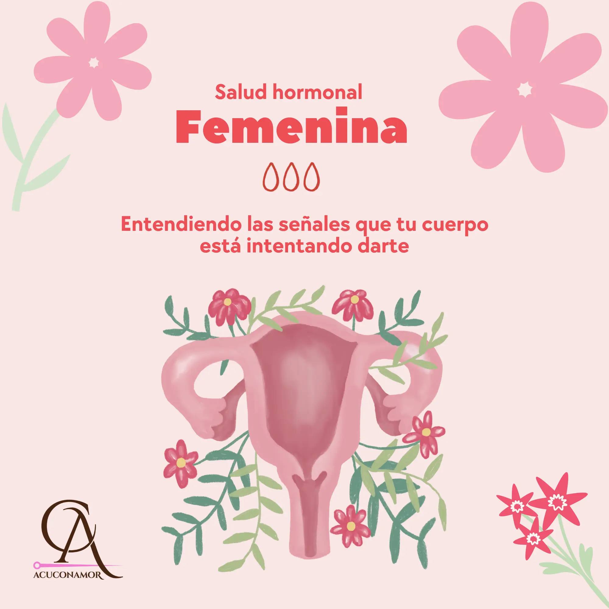 Ebook salud hormonal