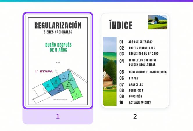 REGULARIZACIÓN POR BIENES NACIONALES. EBOOK.- GUÍA PRÁCTICA