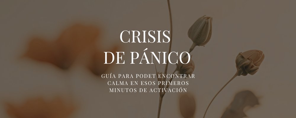 GUIA CRISIS DE PÁNICO
