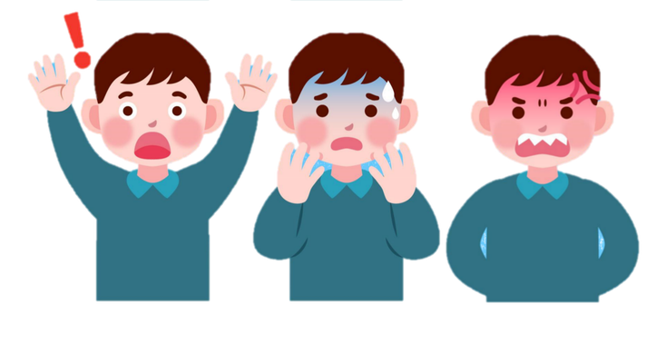 Regulación Socioemocional en Niñas, Niños y Adolescentes