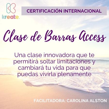 Clase Barras Access con Certificación Internacional