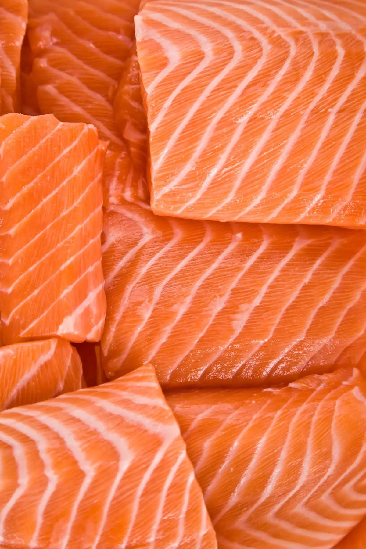 Guía porciones de proteína