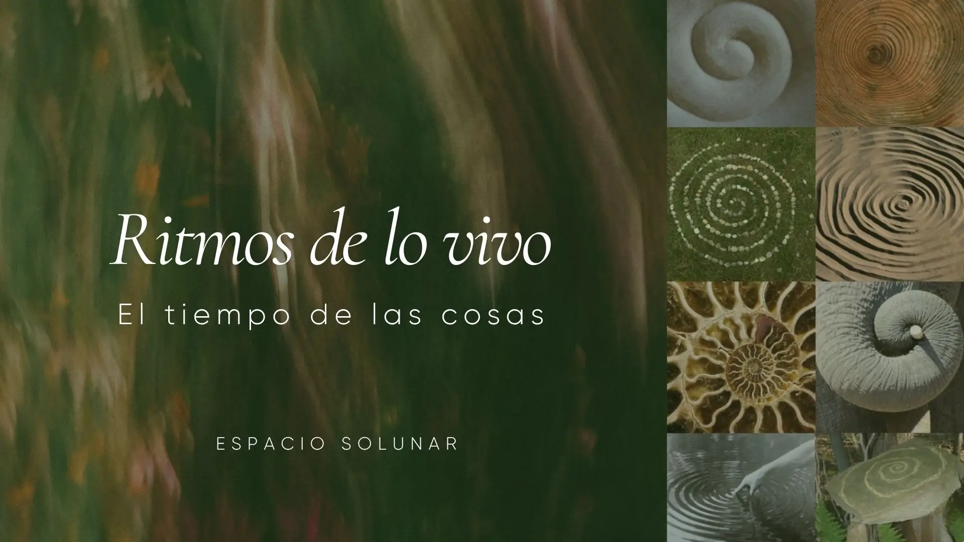 Clase grabada: Ritmos de lo vivo, el tiempo de las cosas