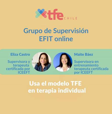 Grupo de Supervisión EFIT (Terapia individual)