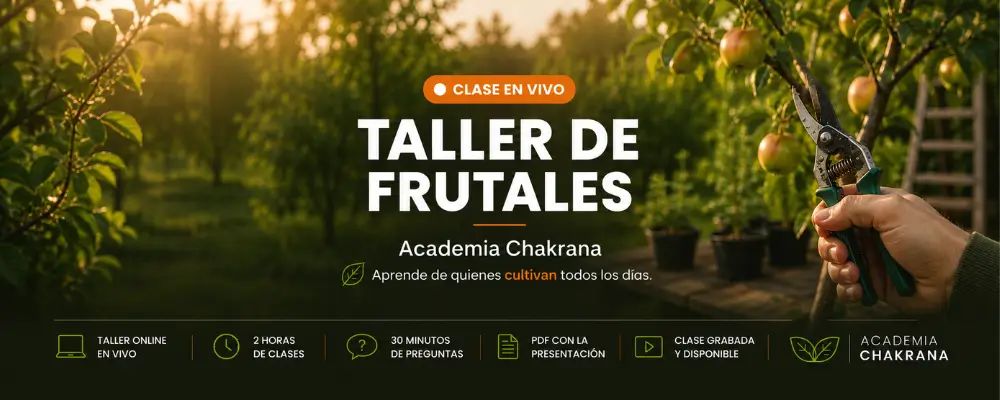 Taller Online Manejo y Poda de árboles frutales 29 DE OCTUBRE  19:00Hrs