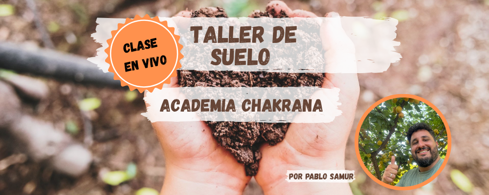 Foto de portada