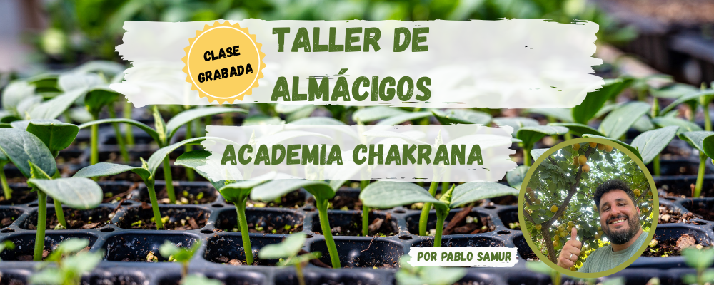 Foto de portada