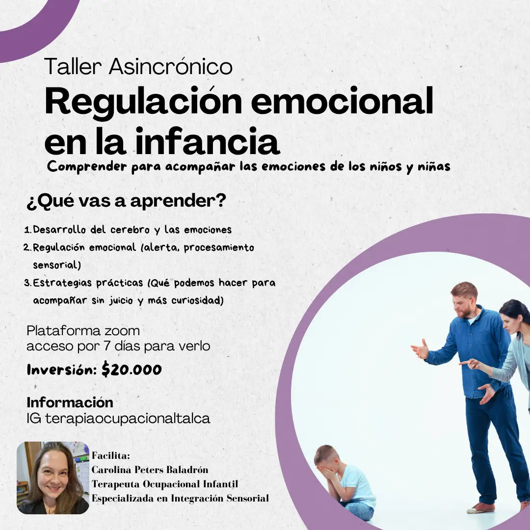 Taller: "Regulación Emocional en la Infancia" comprender para acompañar las emociones de los niños y niñas