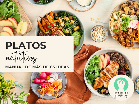 Manual de Ideas - Platos Nutritivos