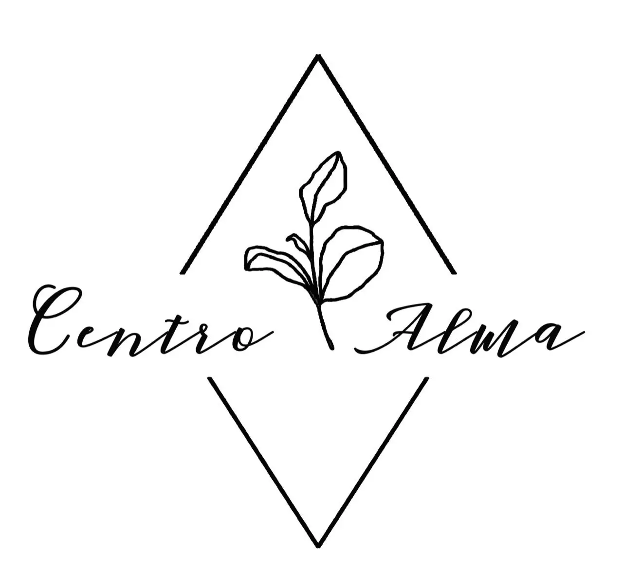 Consulta Alma SpA - Otro