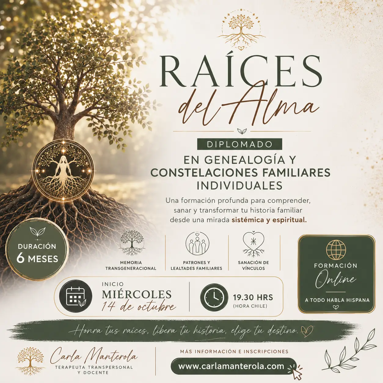 RAÍCES DEL ALMA I - Formación en Constelaciones Familiares, Transgeneracionales e Individuales