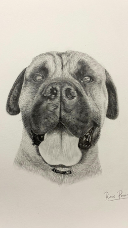 Dibujo en grafito/carboncillo 25cmx20cm