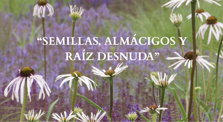 "Mas plantas, Menos gastos" Charla 2: Semillas y Almácigos / GRABACIÓN