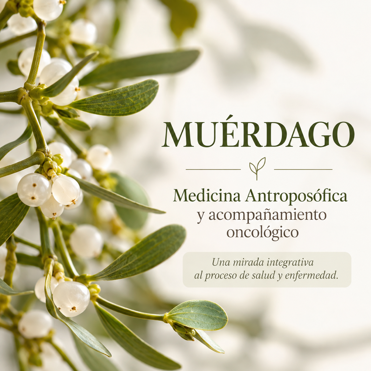 Muérdago