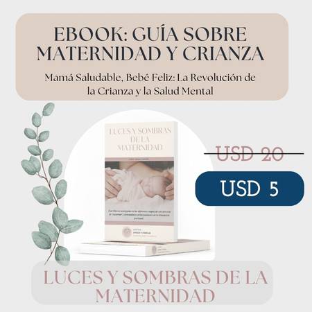 Ebook: Luces y Sombras de la Maternidad