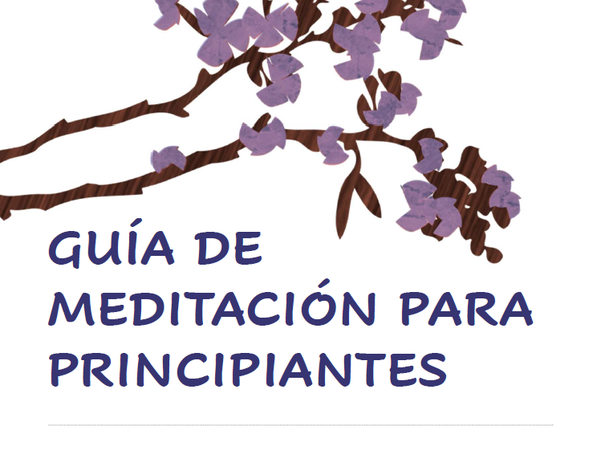 Guía de Meditación para Principiantes