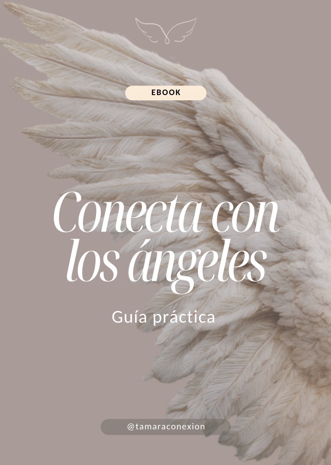 Conecta con tus ángeles