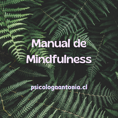 Manual de Mindfulness