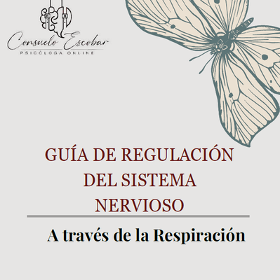 Guía somática para Regulación, desde la Respiración